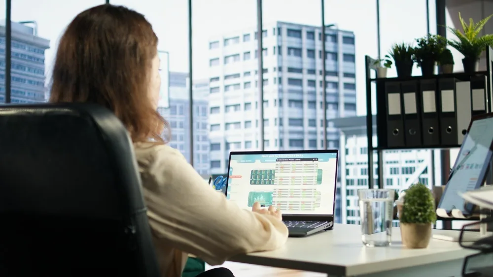 Accounting Software Consultancy img3